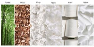 Stages of how trees get turned into various textiles | Featured image for the benefits of TENCEL blog article from Wenatex.