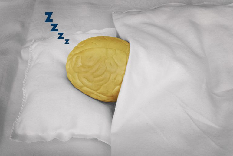 Plastic brain sleeping on a pillow | Featured image for Struggling to remember? A good night's sleep could be the answer